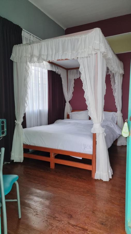 La Casa De Algodon Otel Huacho Dış mekan fotoğraf